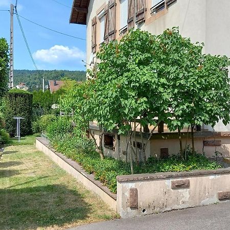 Studio D'Hotes A 10 Km De Gerardmer Le Tholy Exterior photo